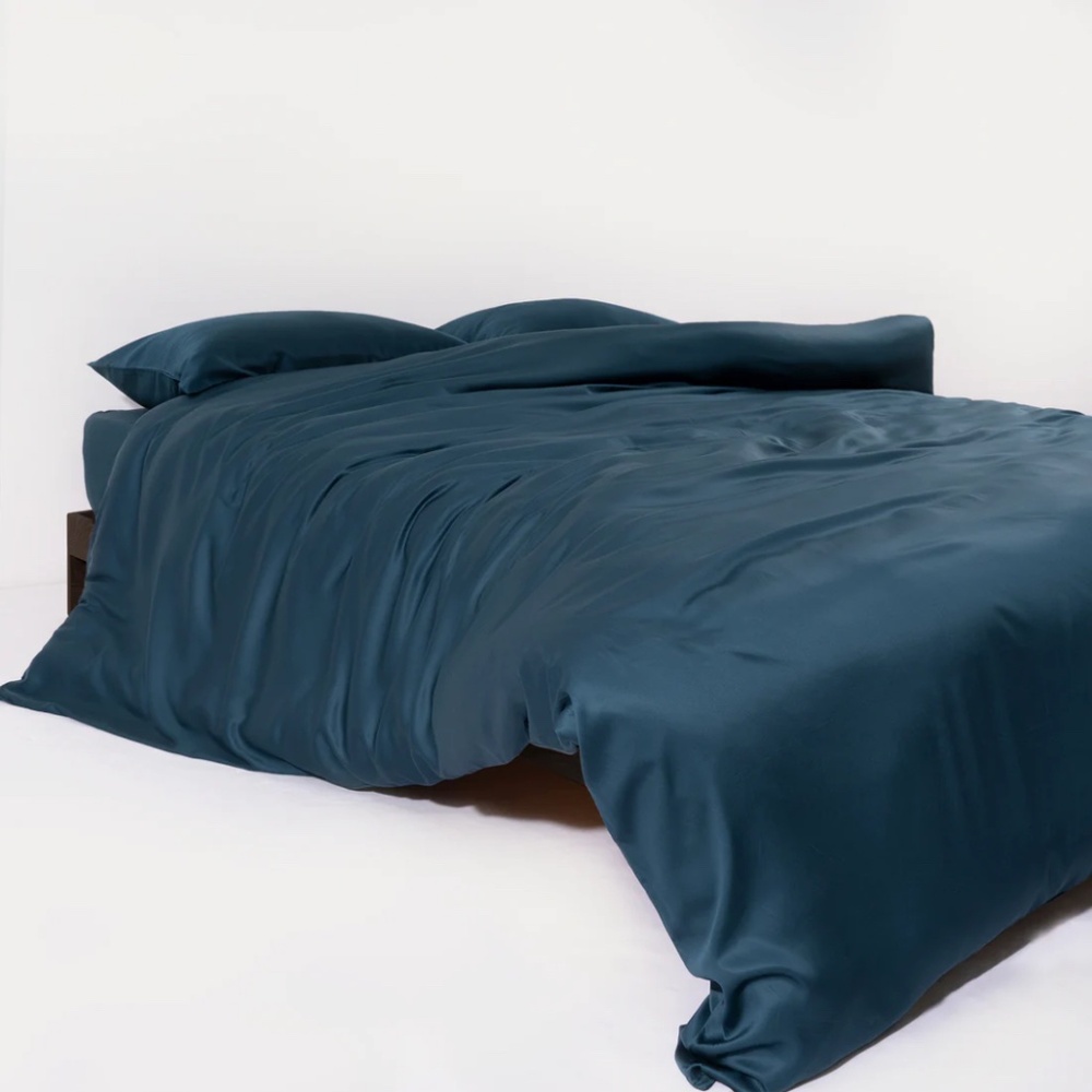 Slashop Queen Duvet and Sheet Set in Blue